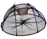 Whelk Cage