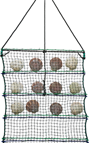 Pocket net（enlarged）